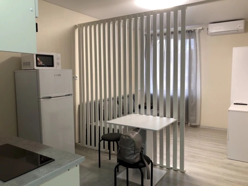 Аренда 1-комнатной квартиры 22 м²