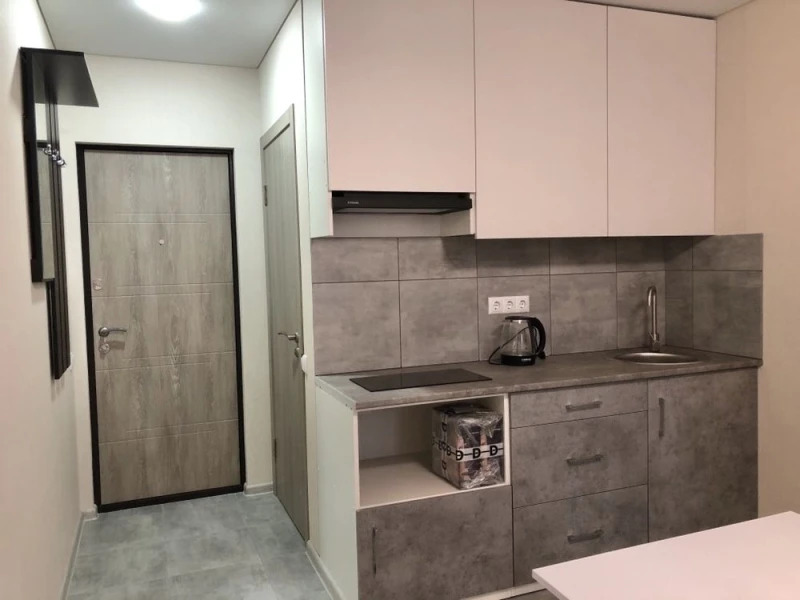Аренда 1-комнатной квартиры 22 м²