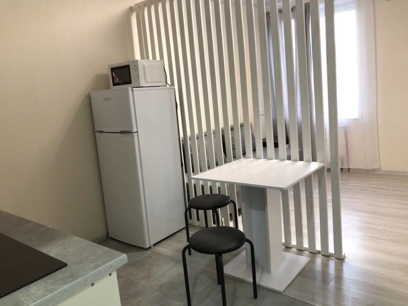 Аренда 1-комнатной квартиры 22 м²