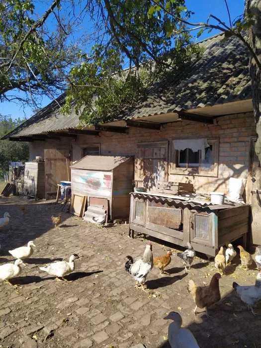 Продаж будинку 84 м²
