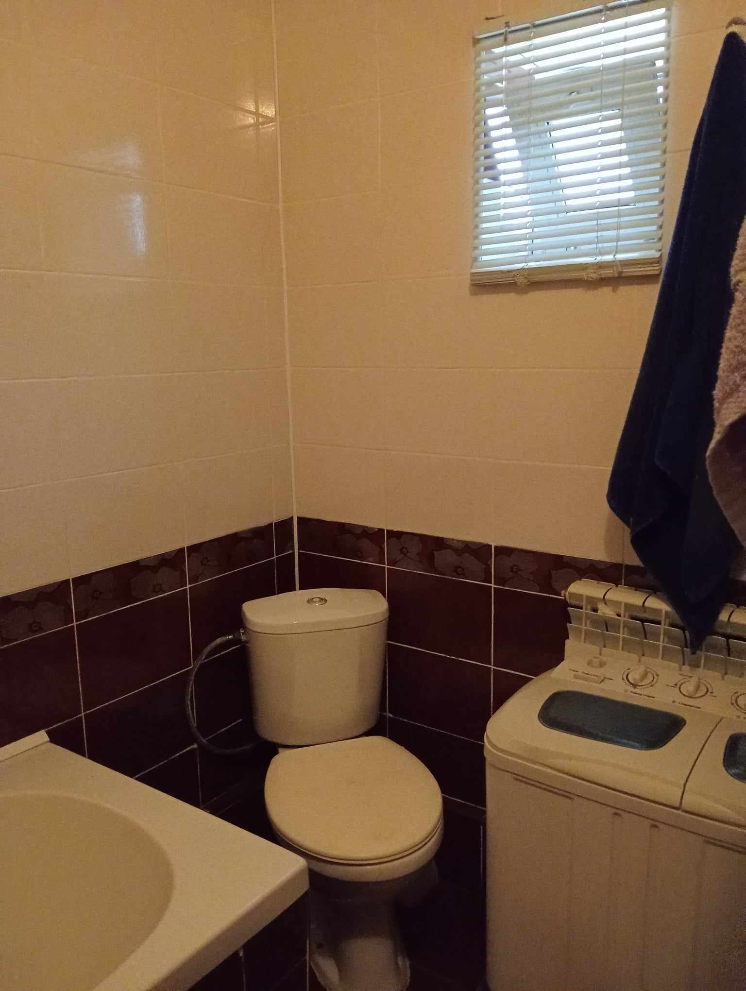 Продаж будинку 145 м², Великопромінська