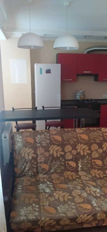 Оренда 1-кімнатної квартири 45 м²