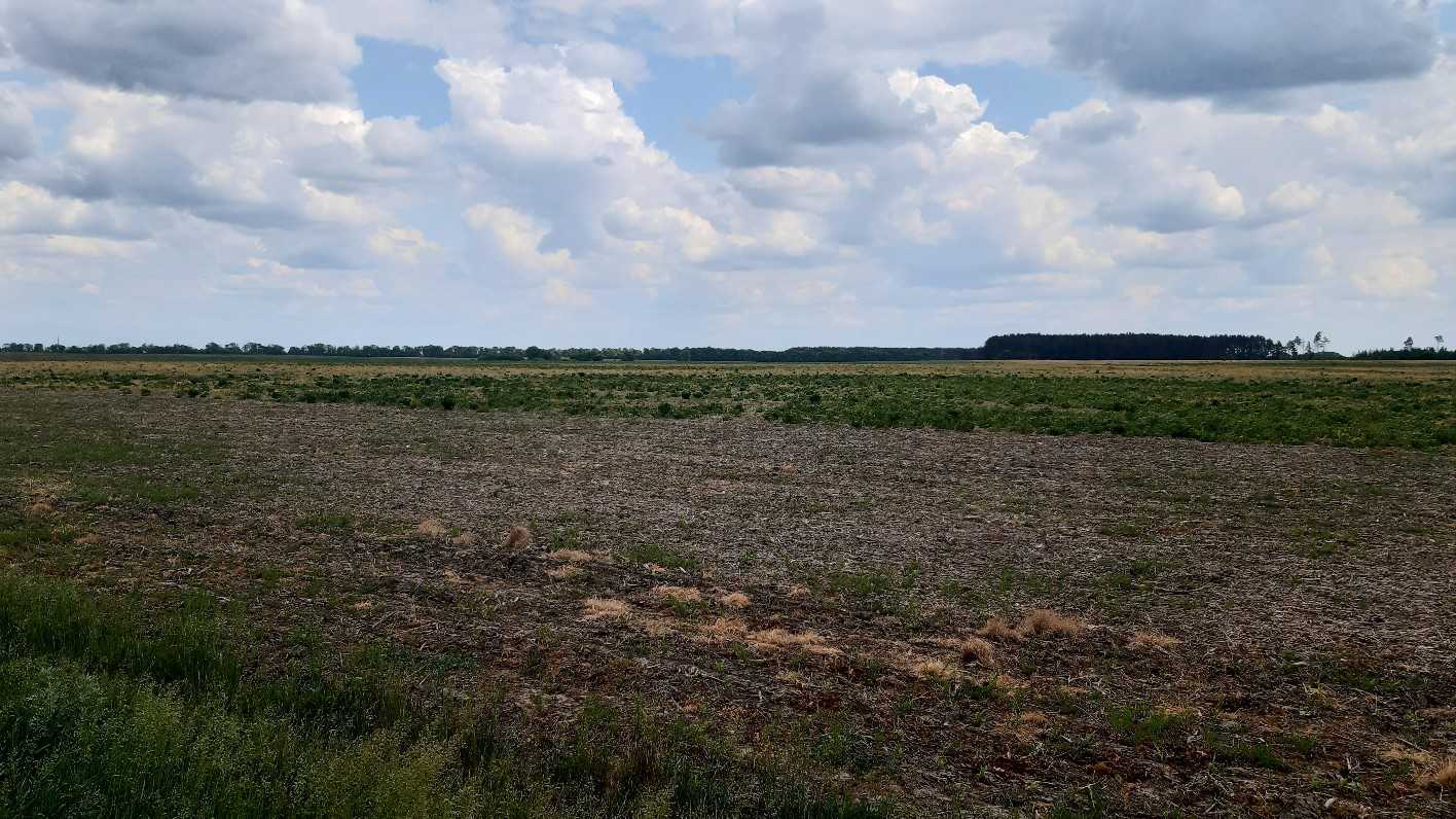 Продаж ділянки для особистого сільського господарства 200 соток, Головурівський с/о