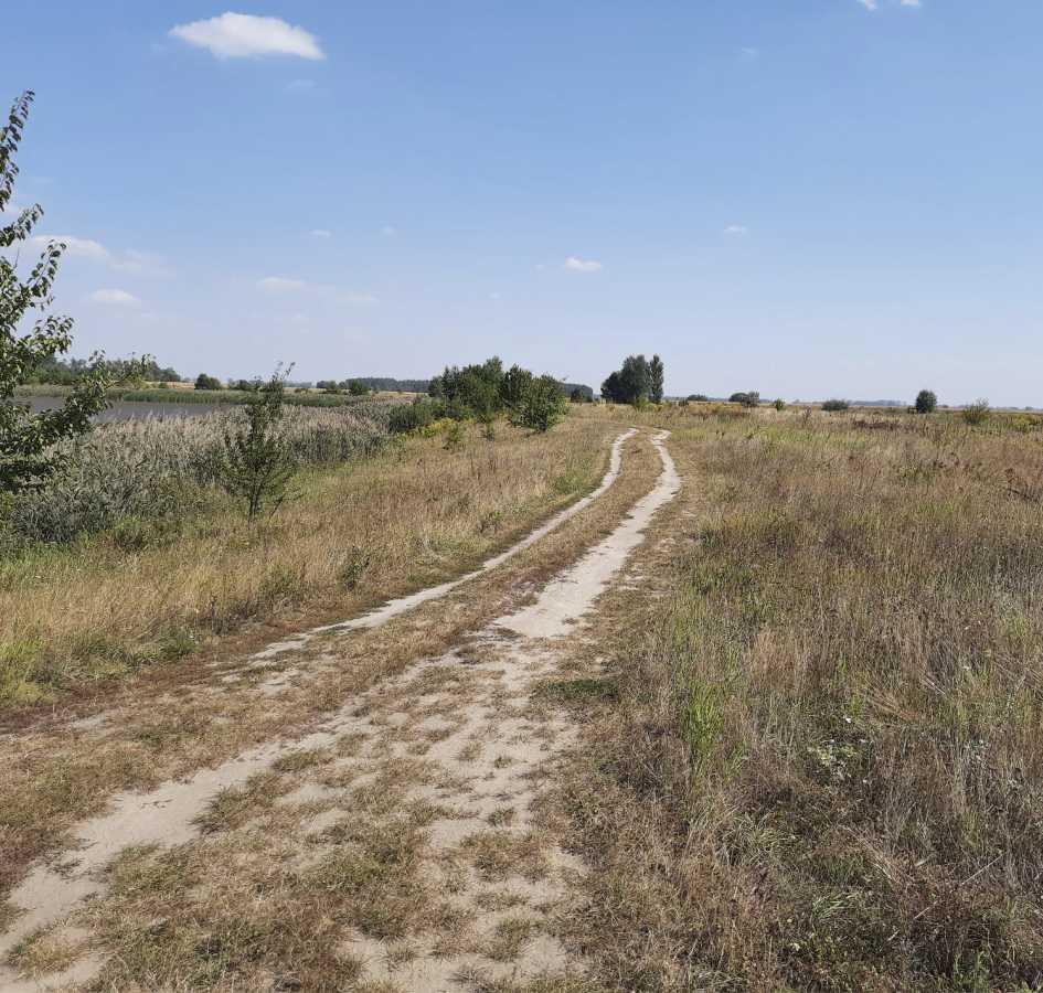 Продаж ділянки для особистого сільського господарства 800 соток