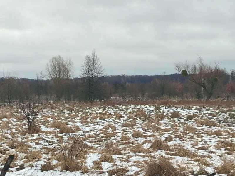 Продаж ділянки для особистого сільського господарства 12 соток, Нова