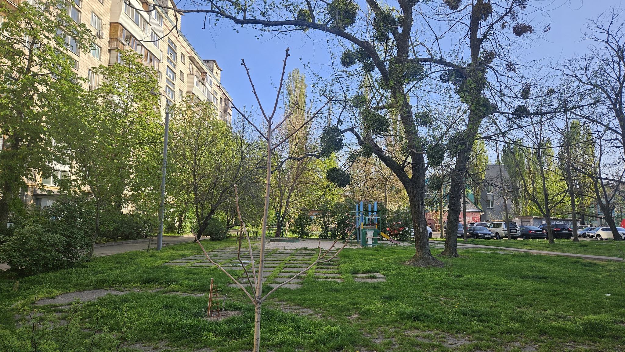 Аренда 1-комнатной квартиры 32 м², Игоря Шамо бул., 7
