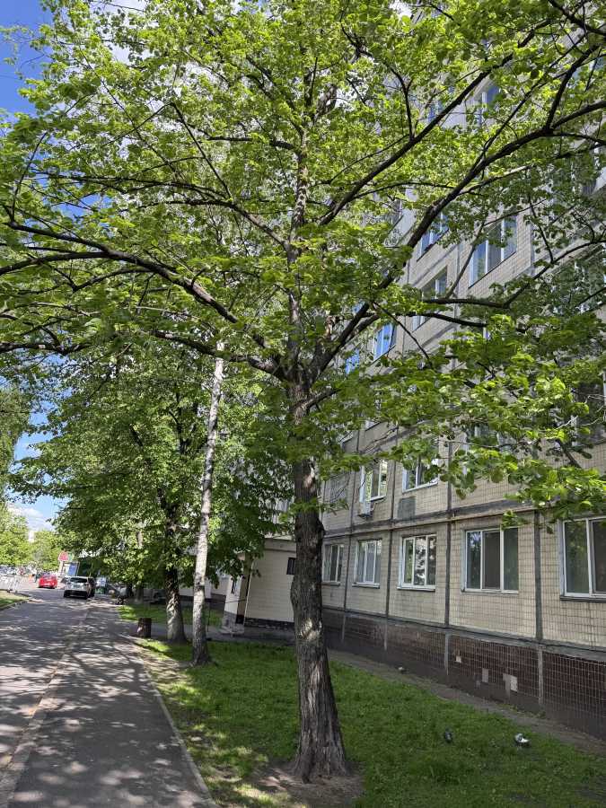 Продаж 3-кімнатної квартири 69 м², Якуба Коласа вул.