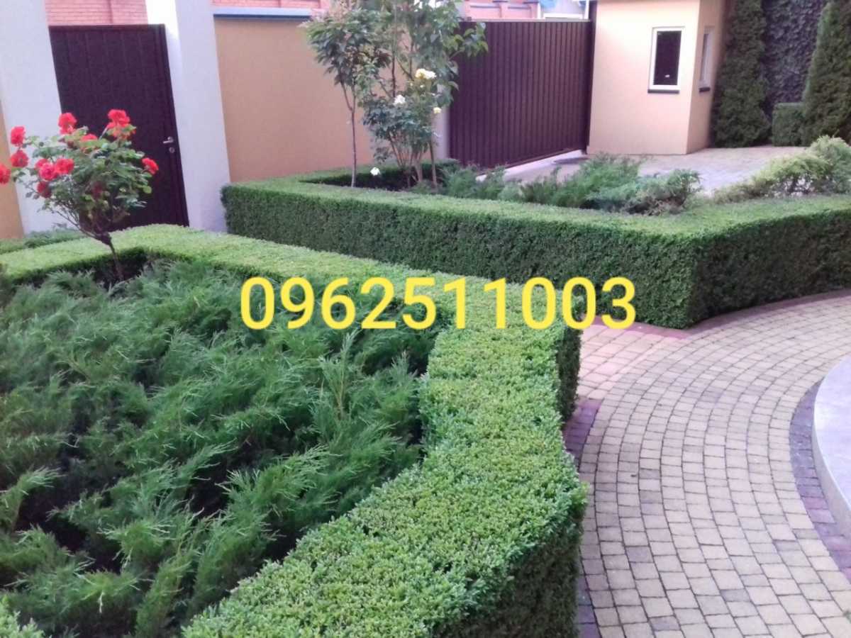 Аренда дома 850 м², Редутная ул.