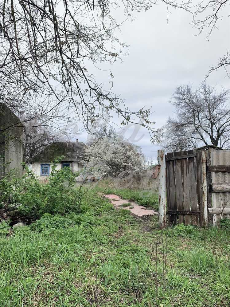 Продаж ділянки під індивідуальне житлове будівництво 31 соток, Центральна вул.