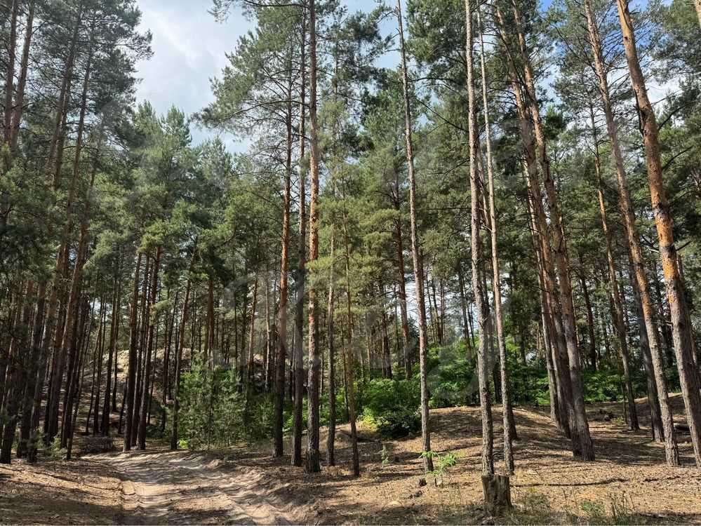 Продаж ділянки під індивідуальне житлове будівництво 27 соток, Хутірська вул.