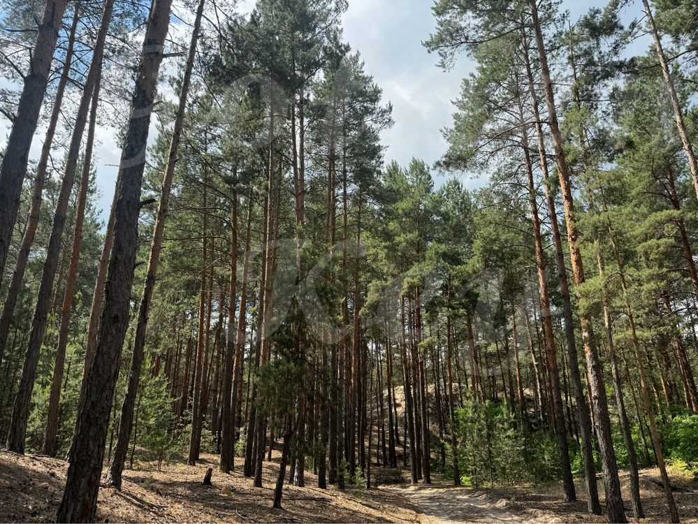 Продаж ділянки під індивідуальне житлове будівництво 27 соток, Хутірська вул.