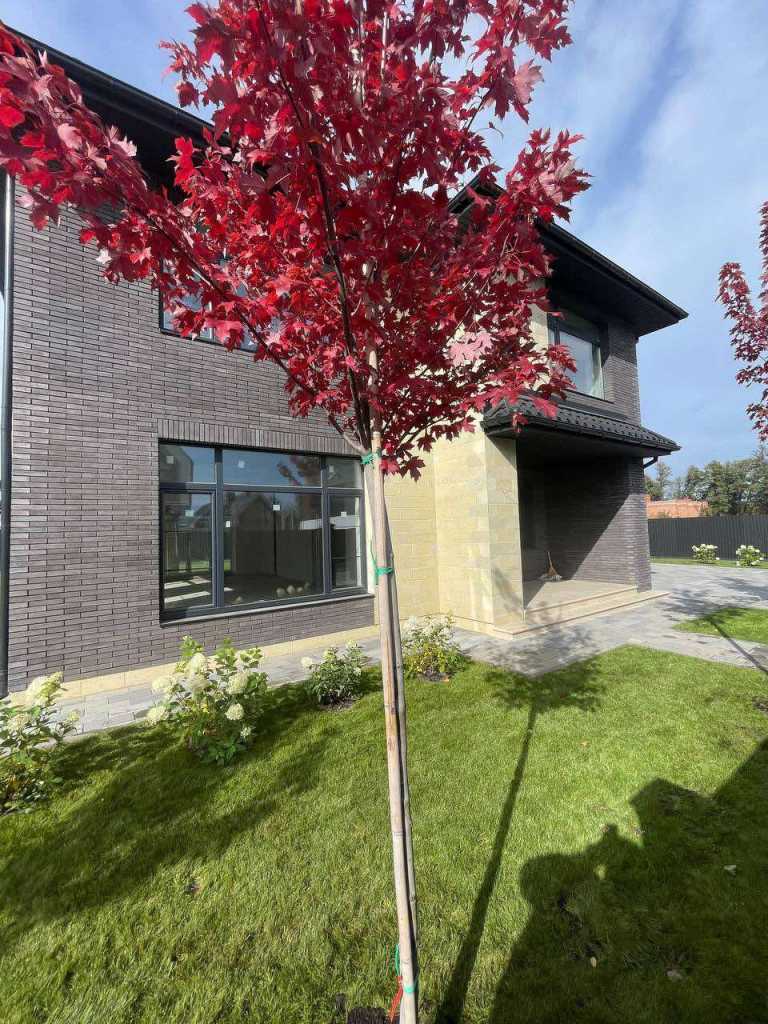 Продаж котеджу 230 м², Найкраща