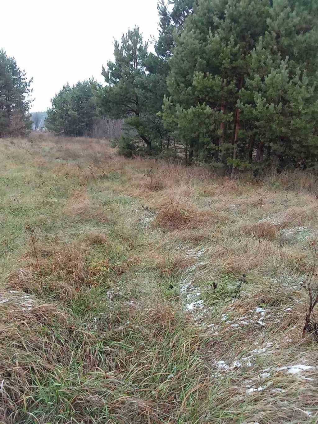 Продажа участка под индивидуальное жилое строительство 20 соток, Галицкая ул., Миру