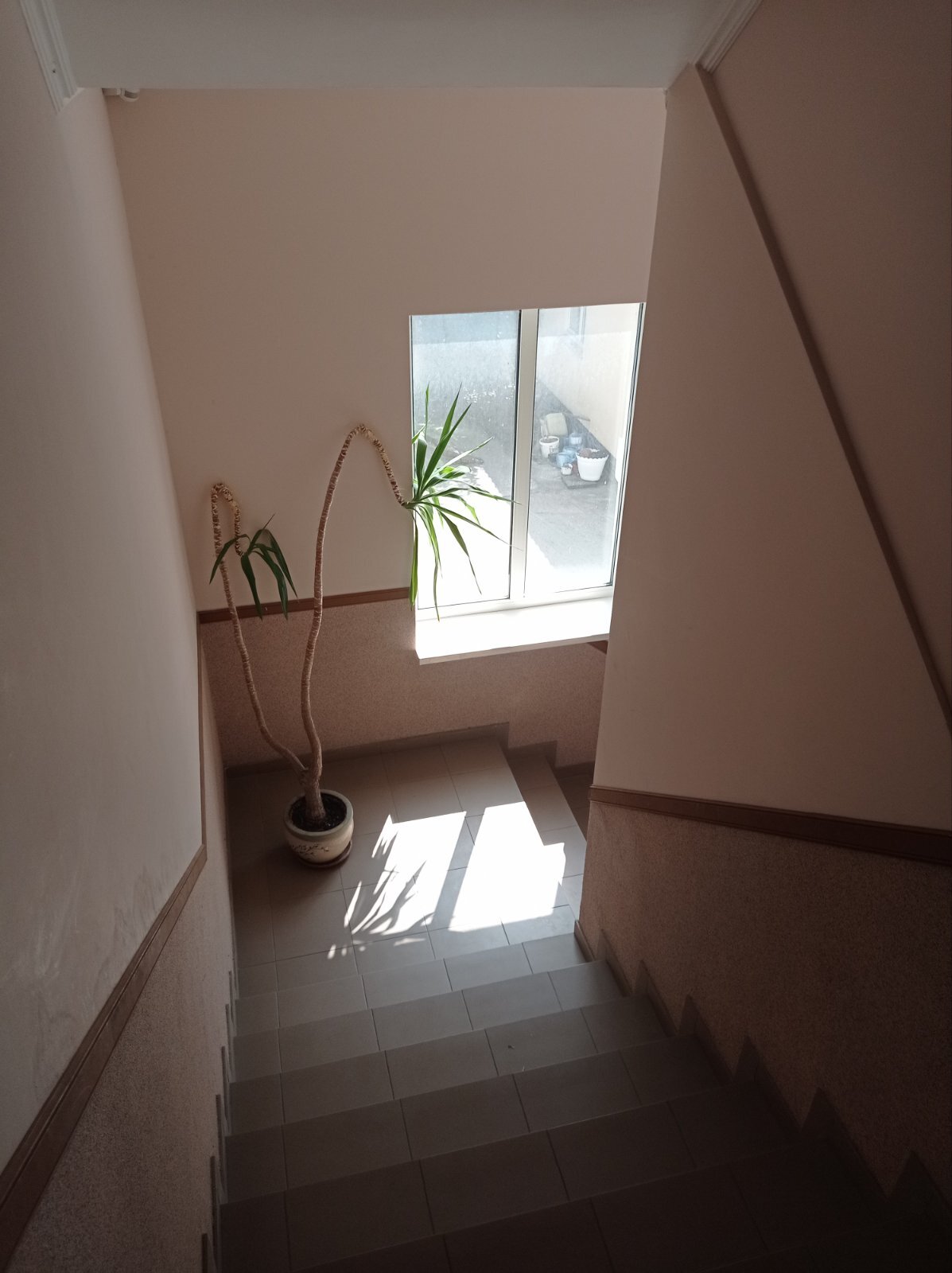 Продажа отдельно стоящего здания 450 м²
