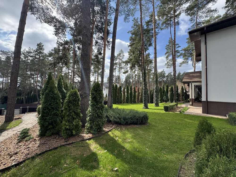 Продажа дома 350 м², Соснова, 4а