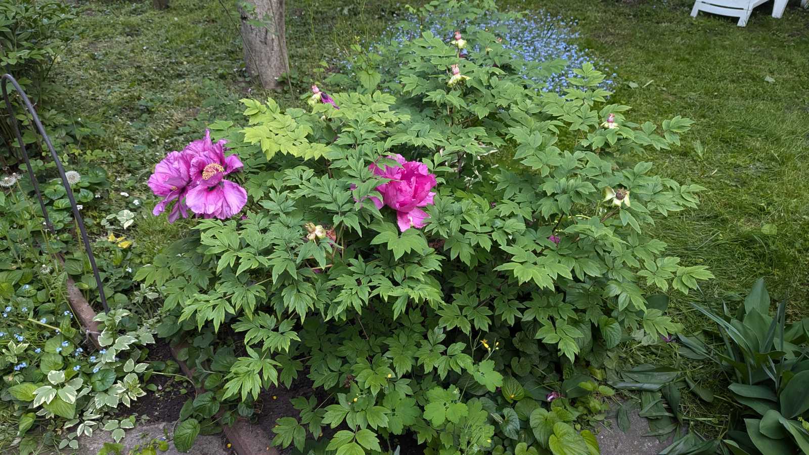 Продажа дома 50 м², Луговая (Бортничи) ул., 8