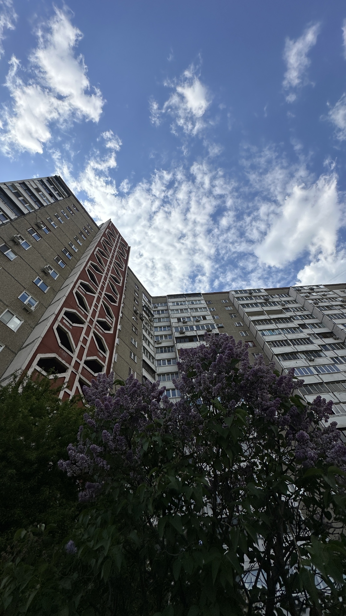 Оренда 2-кімнатної квартири 41 м², Академіка Палладіна просп., 21