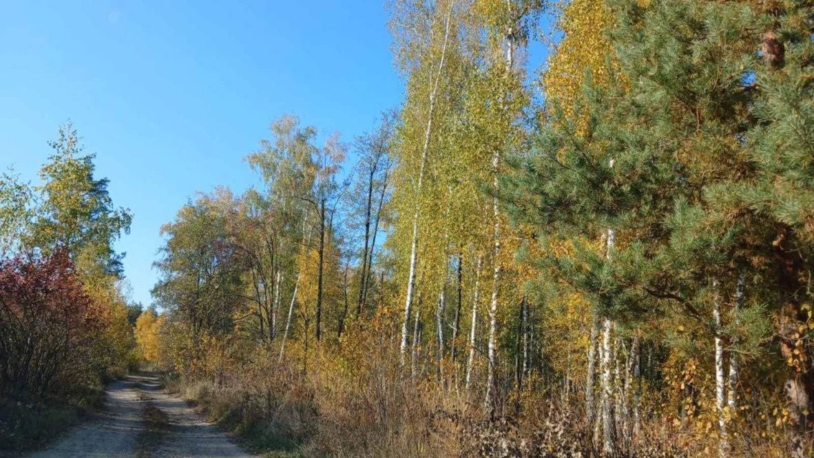 Продажа дачного участка 7 соток