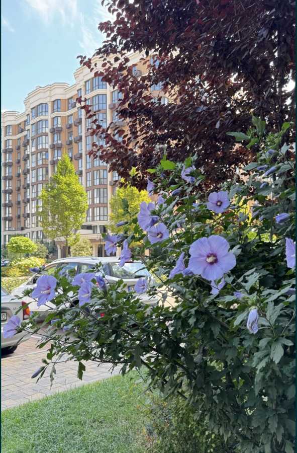 Продажа 2-комнатной квартиры 66 м², ЖК София Резиденс, ДОМ 20 (МАРТЫНОВА, 32, 34)