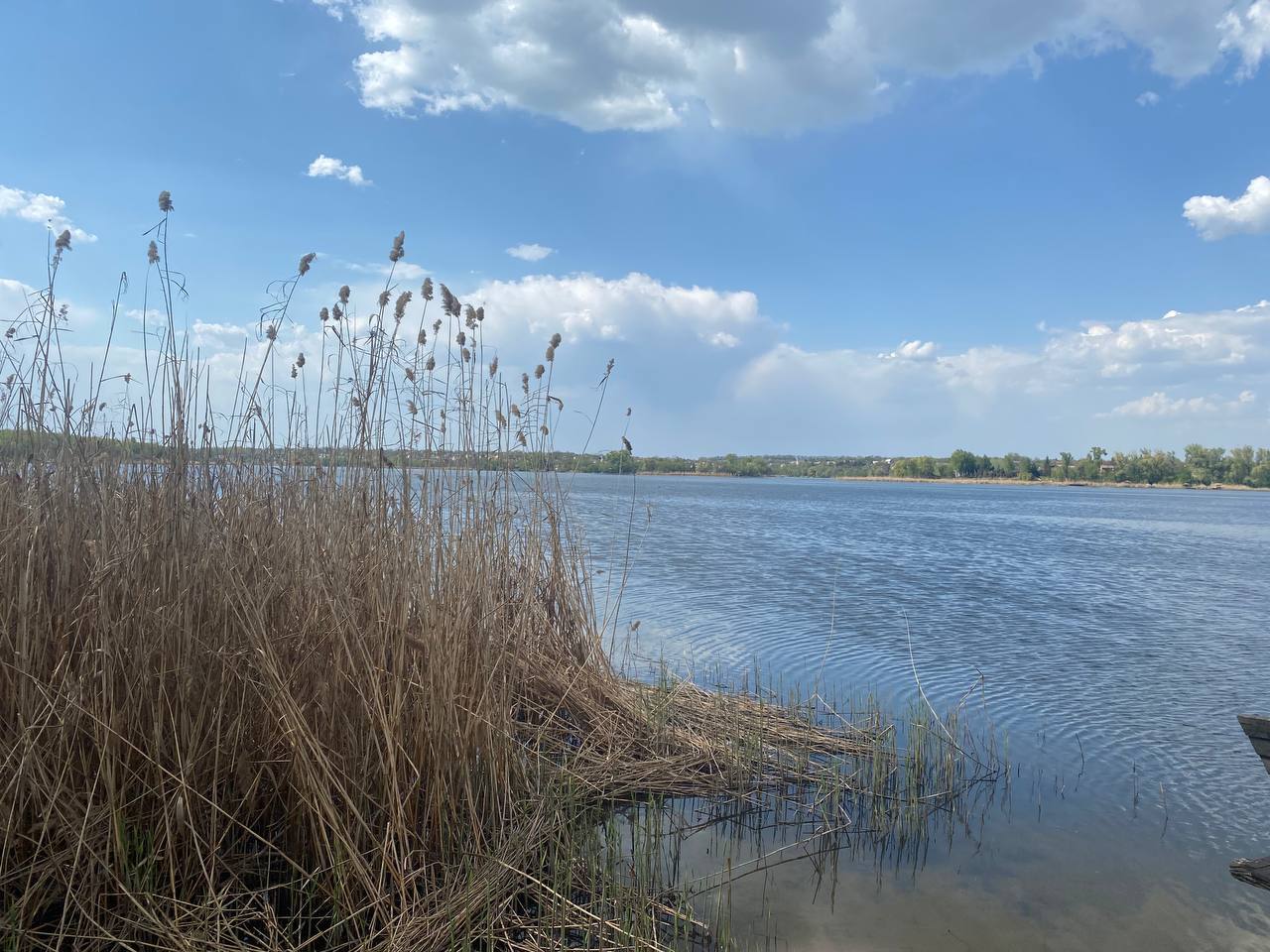 Продаж оздоровчого комплекса 1392 м², Зелена вул., 50