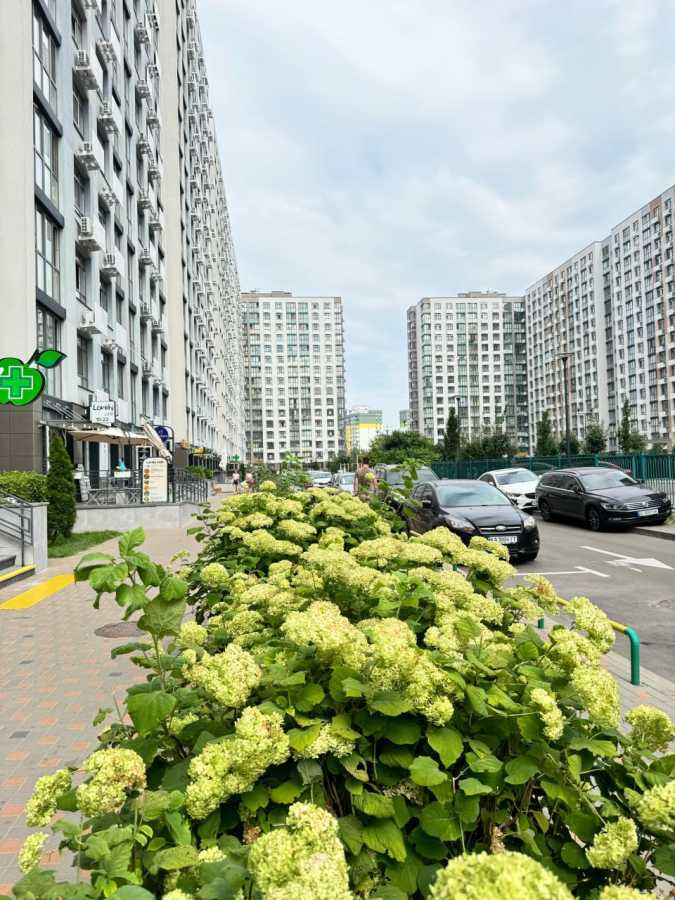 Аренда офиса 25 м², Тираспольская ул., 54