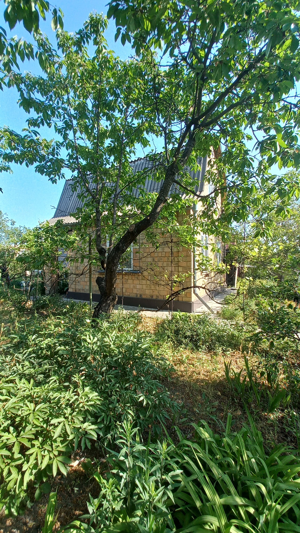 Продажа дачи 70 м², вул Центральна 21