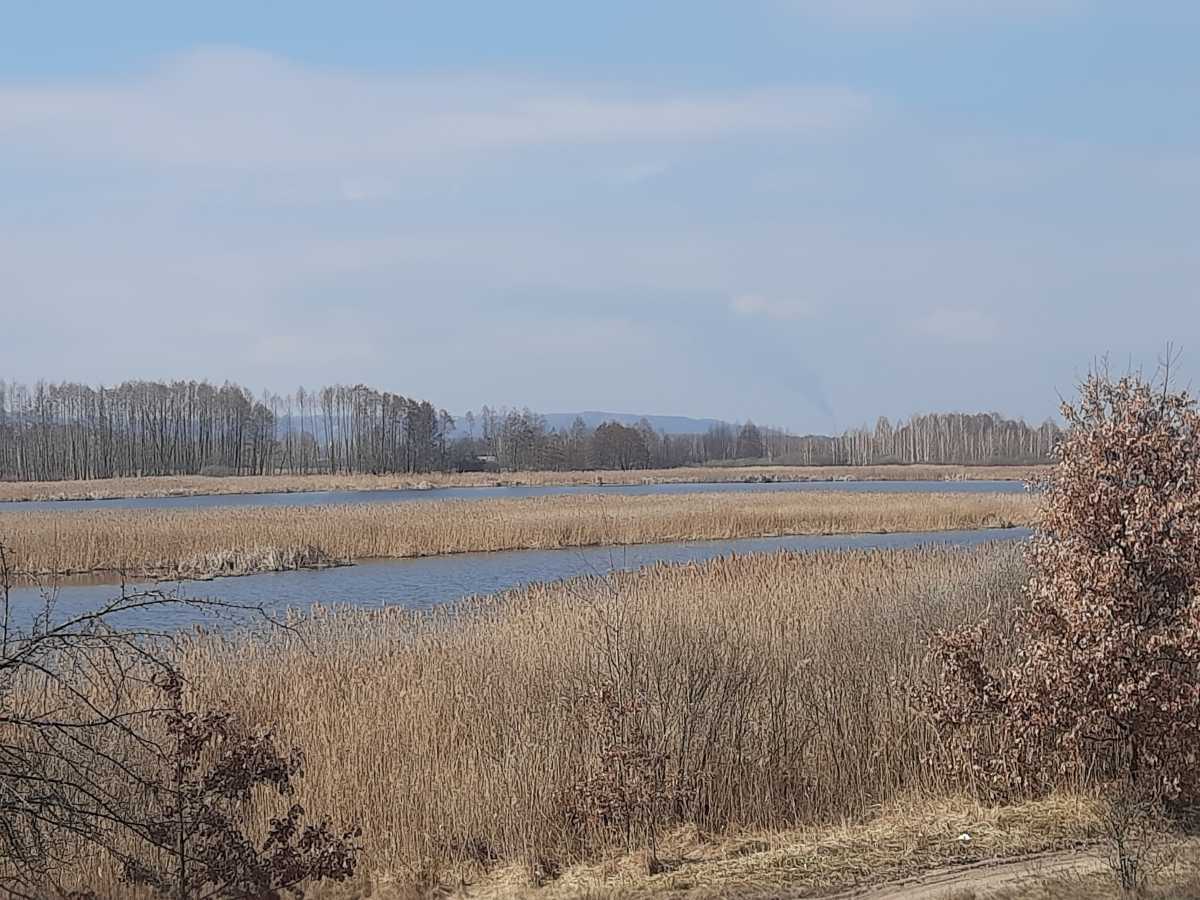 Продаж ділянки для особистого сільського господарства 200 соток, Головурівський с/о