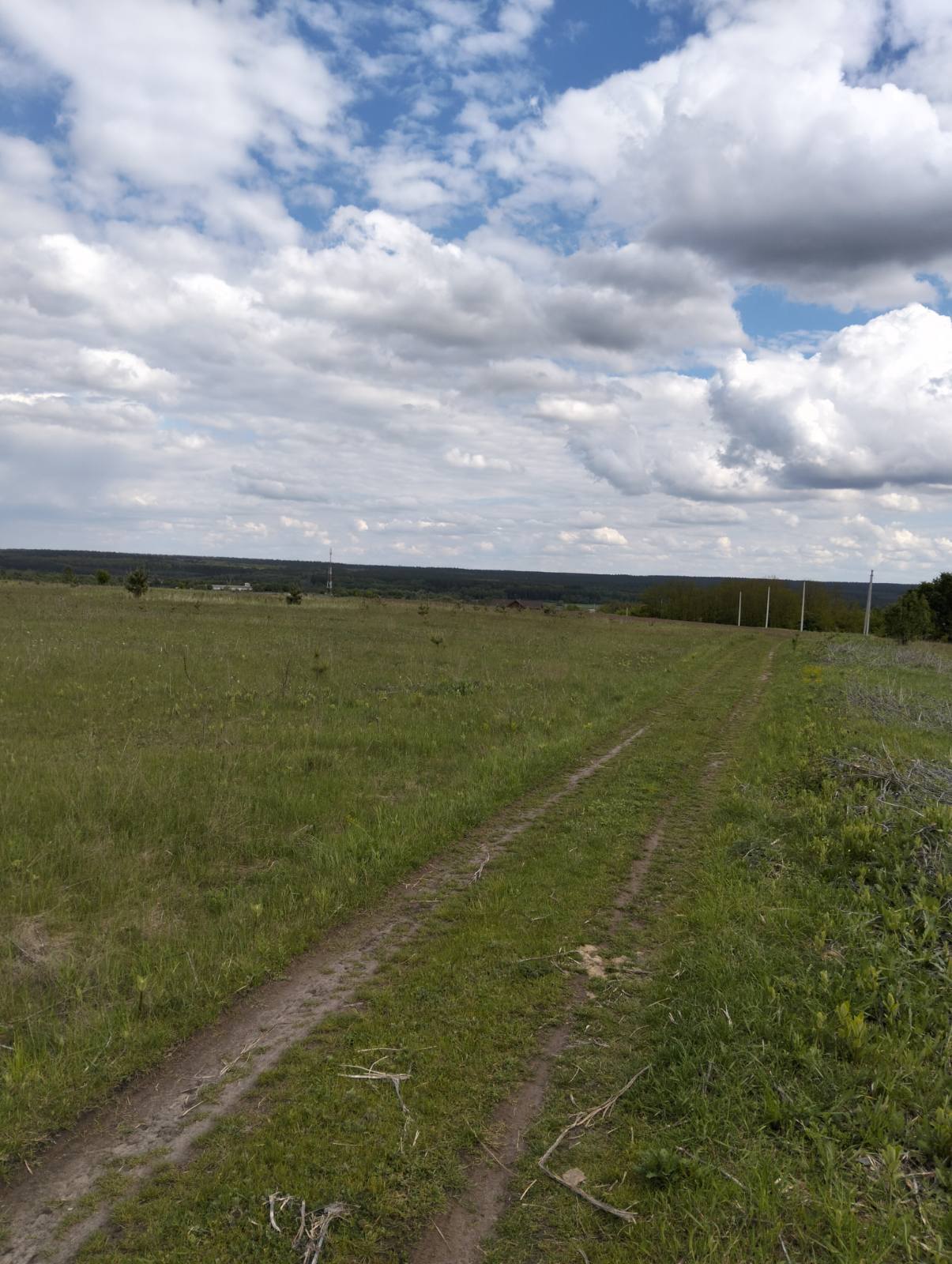Продаж ділянки під індивідуальне житлове будівництво 55 соток