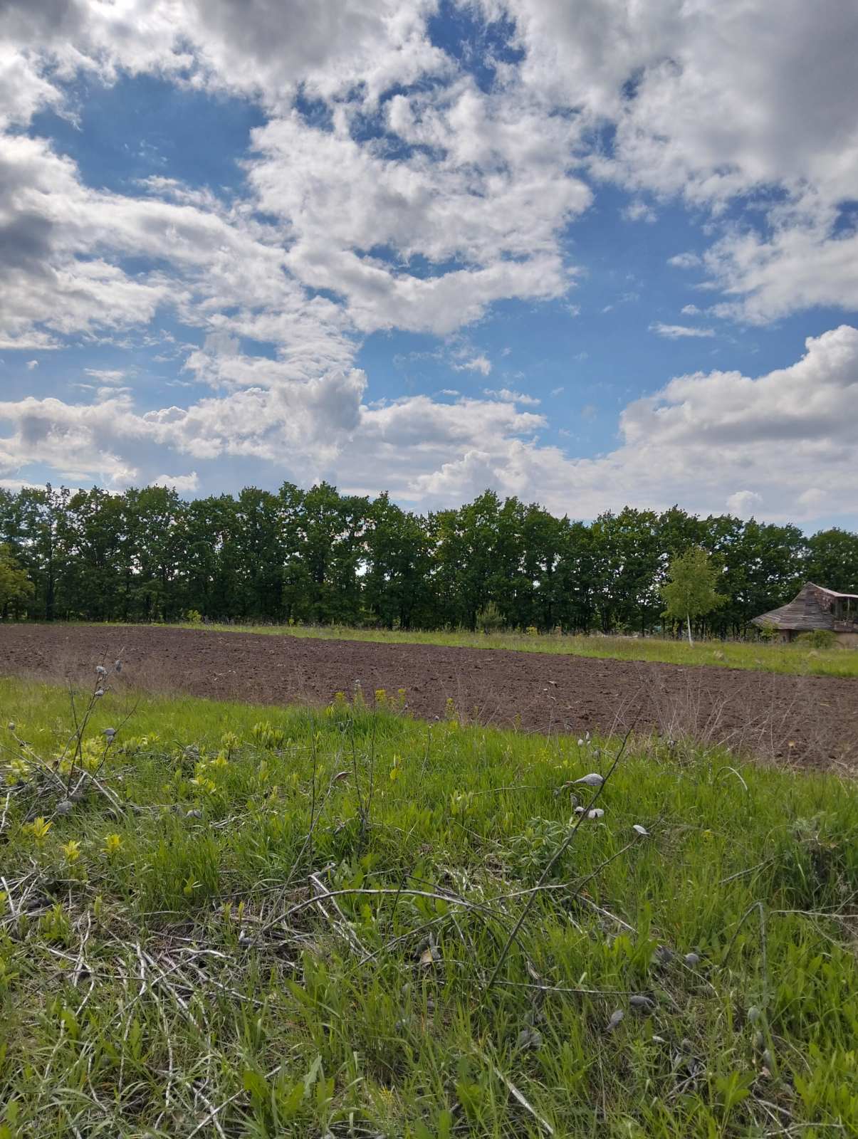 Продаж ділянки під індивідуальне житлове будівництво 55 соток