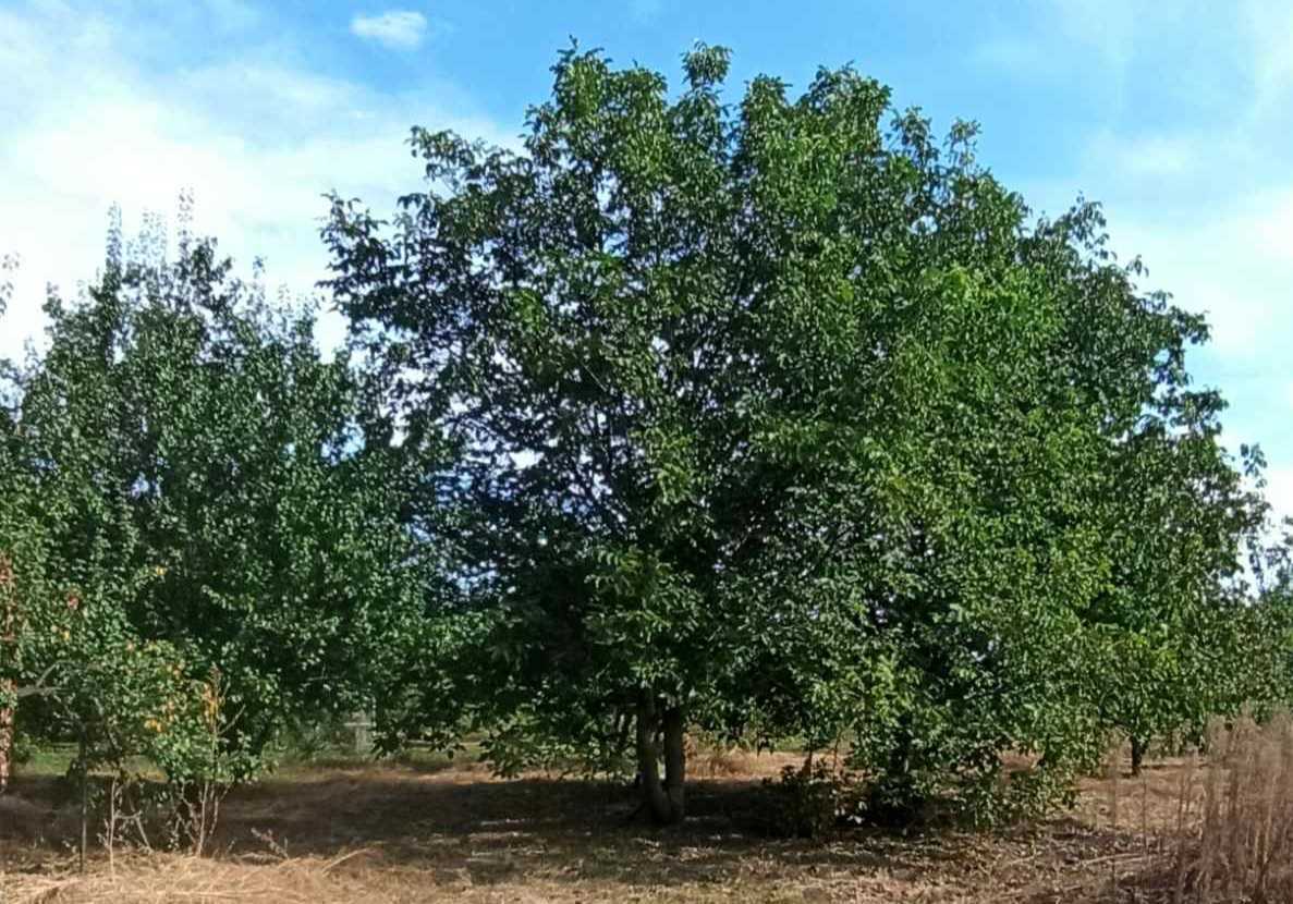 Продажа дома 44 м², Мира, 2