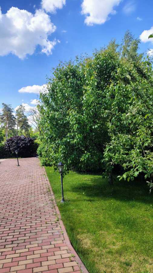 Продаж будинку 495 м², Стешки