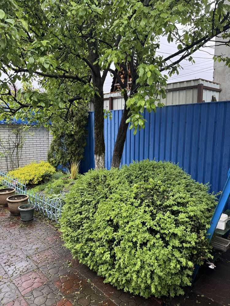 Продажа дома 126 м², Богдана Ступки ул.