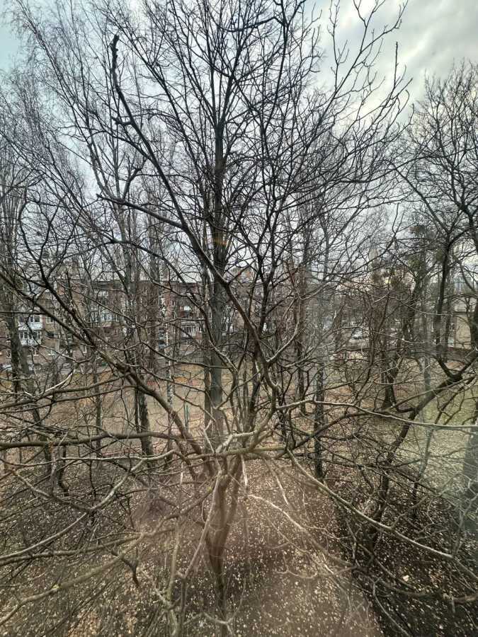 Продаж 1-кімнатної квартири 31 м², Олеся Бабія вул., Телиги, 7А