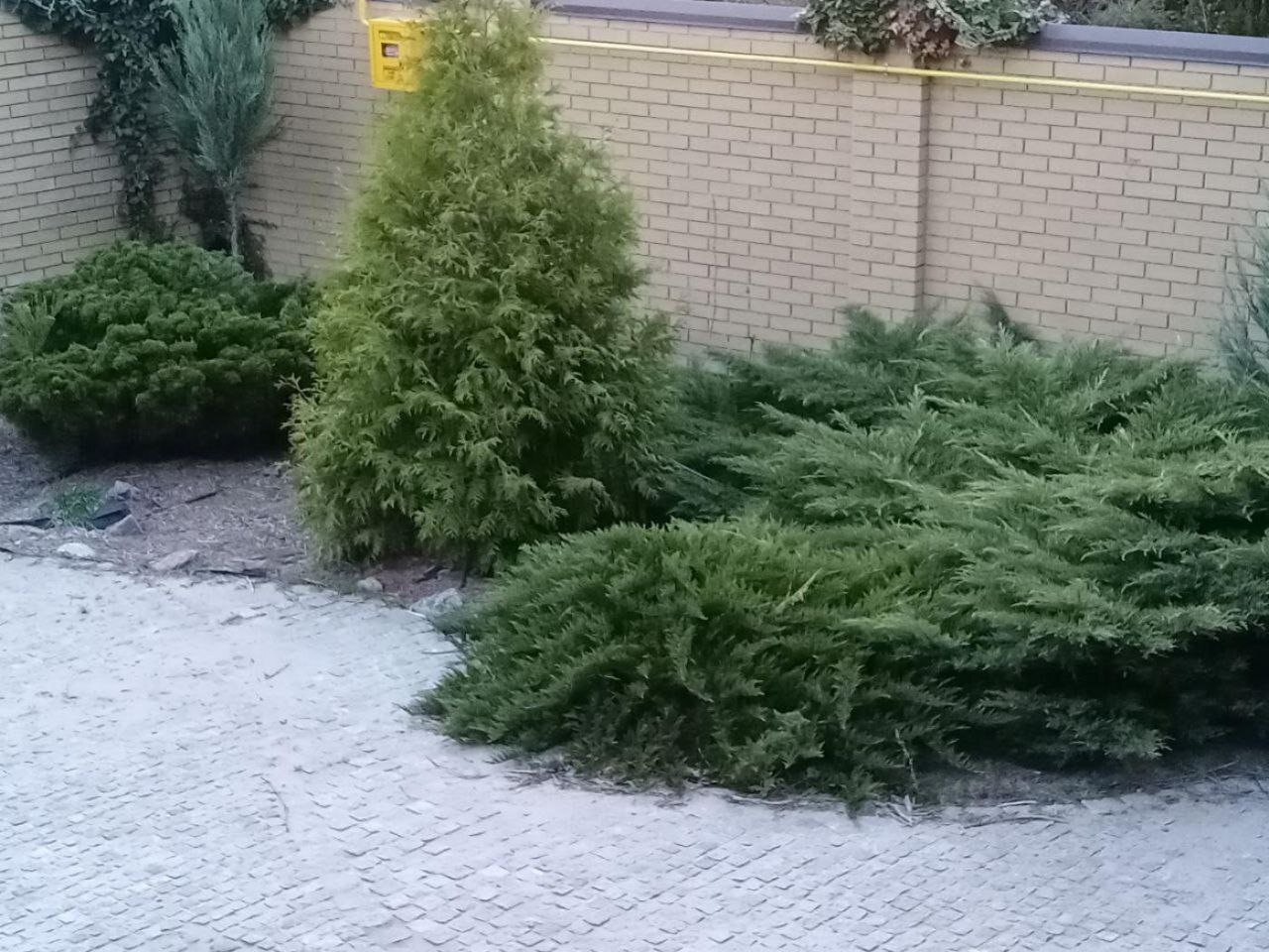 Аренда дома 174 м²
