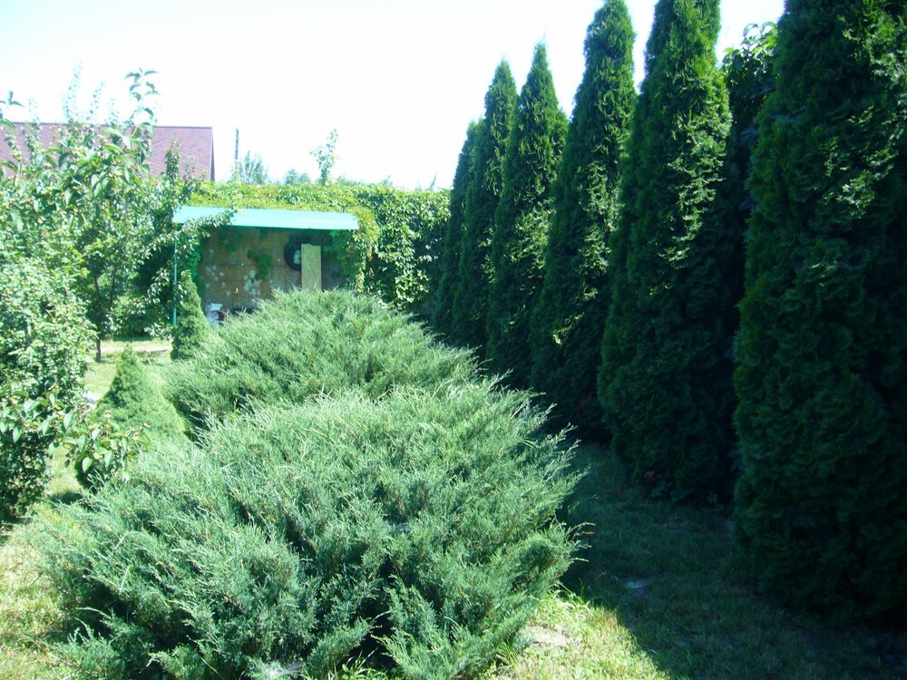 Дом посуточно 100 м², Веснина ул.