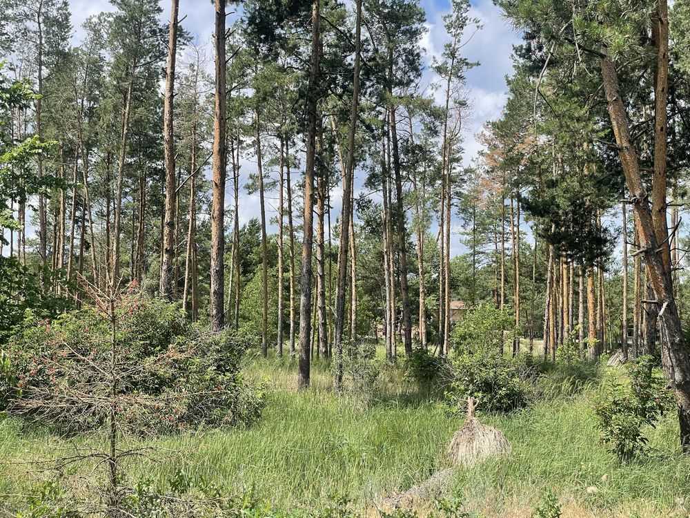 Продаж ділянки під індивідуальне житлове будівництво 37 соток, Головна
