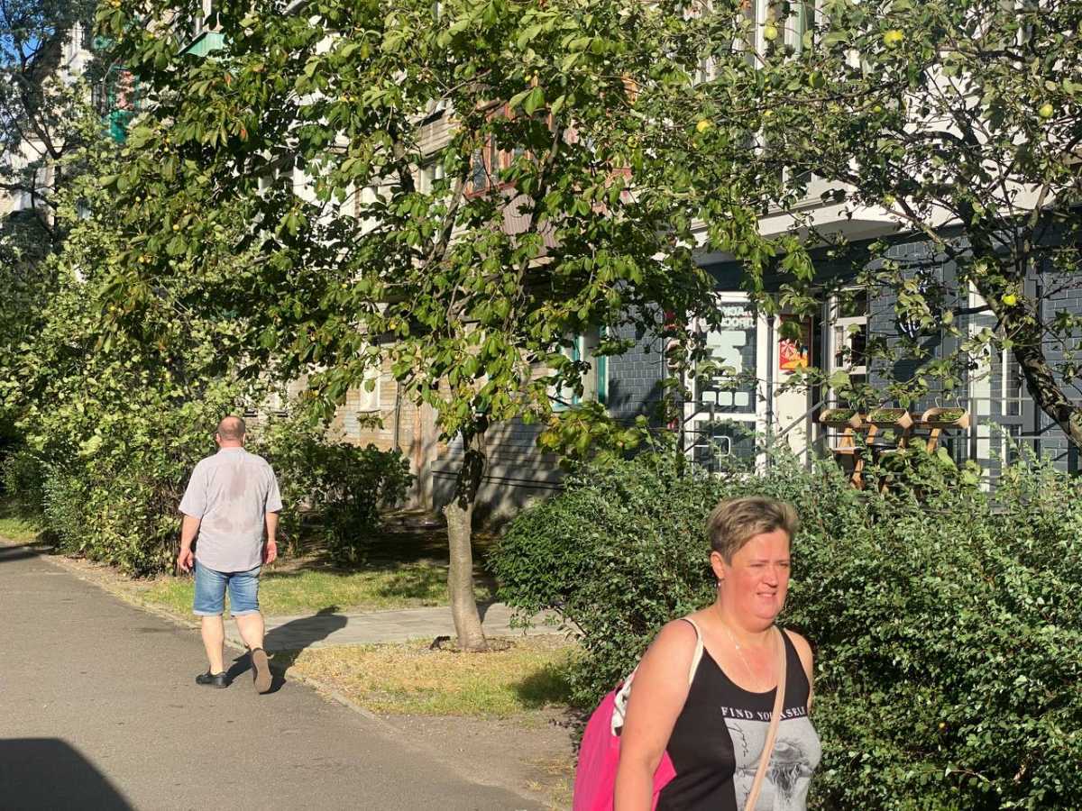 Аренда другого торгового помещения 45 м², Краковская ул., 14