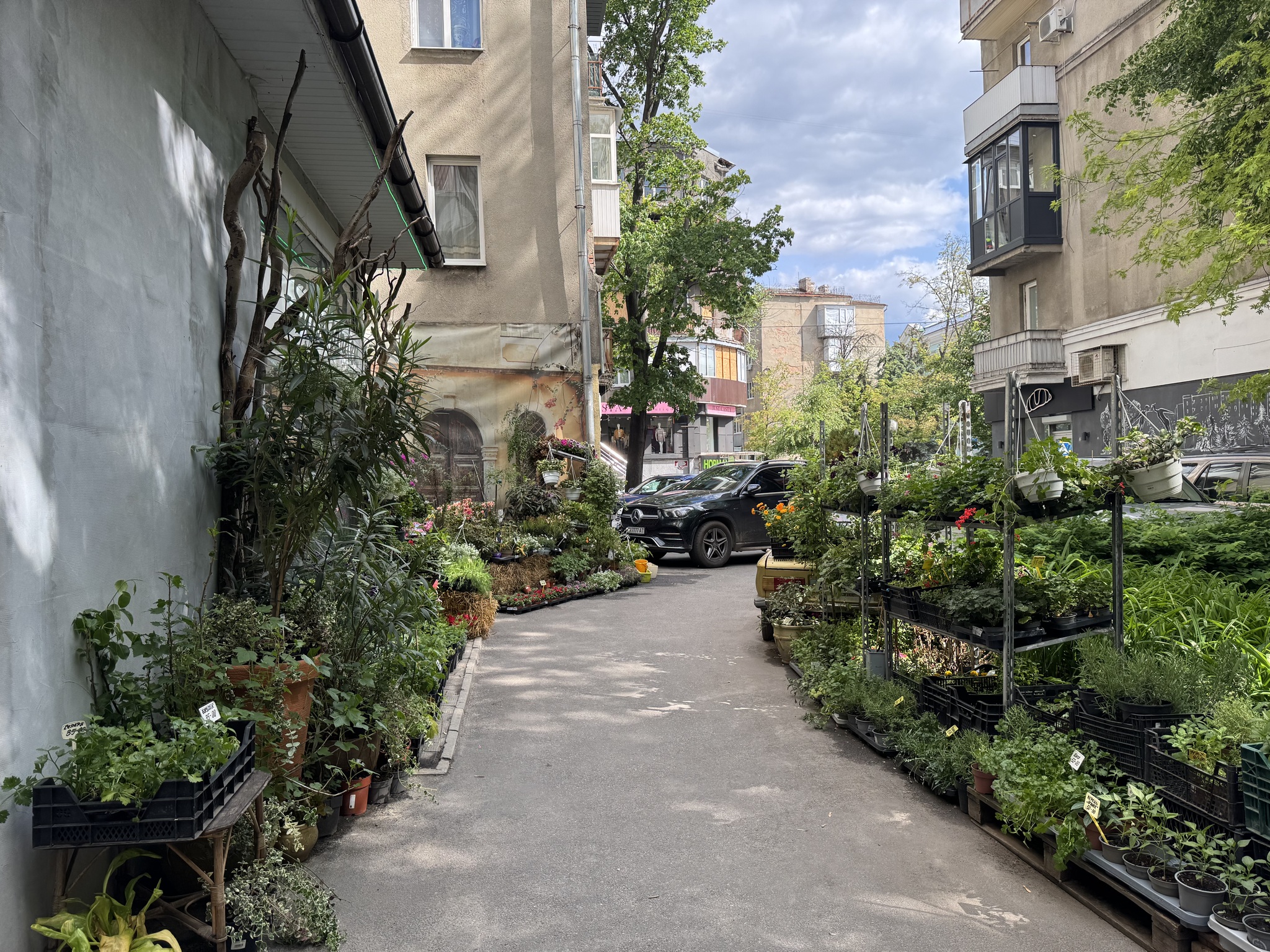 Продажа 2-комнатной квартиры 56.1 м², Пушкинская ул., 67