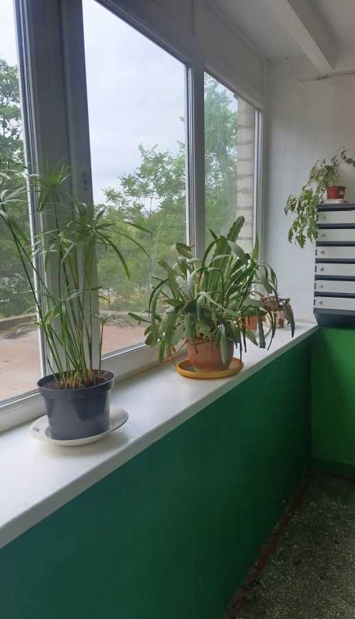 Аренда 2-комнатной квартиры 47 м², Труда бул.