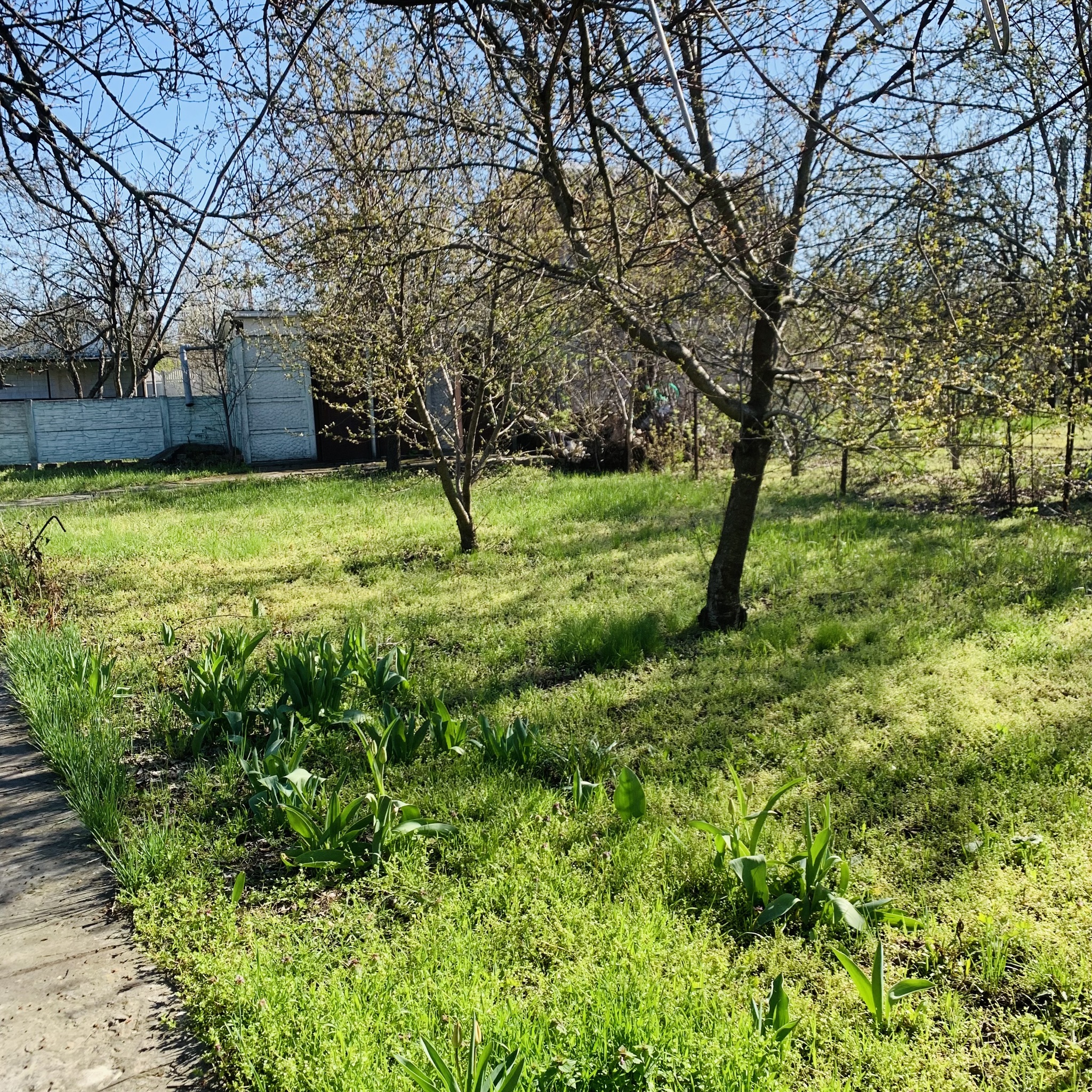 Продажа дачи 45 м², Рабочая (Таромское) ул., Фрунзе