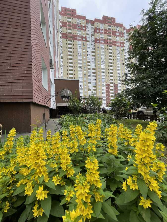 Продаж 1-кімнатної квартири 55 м², Ясинуватський пров., 11