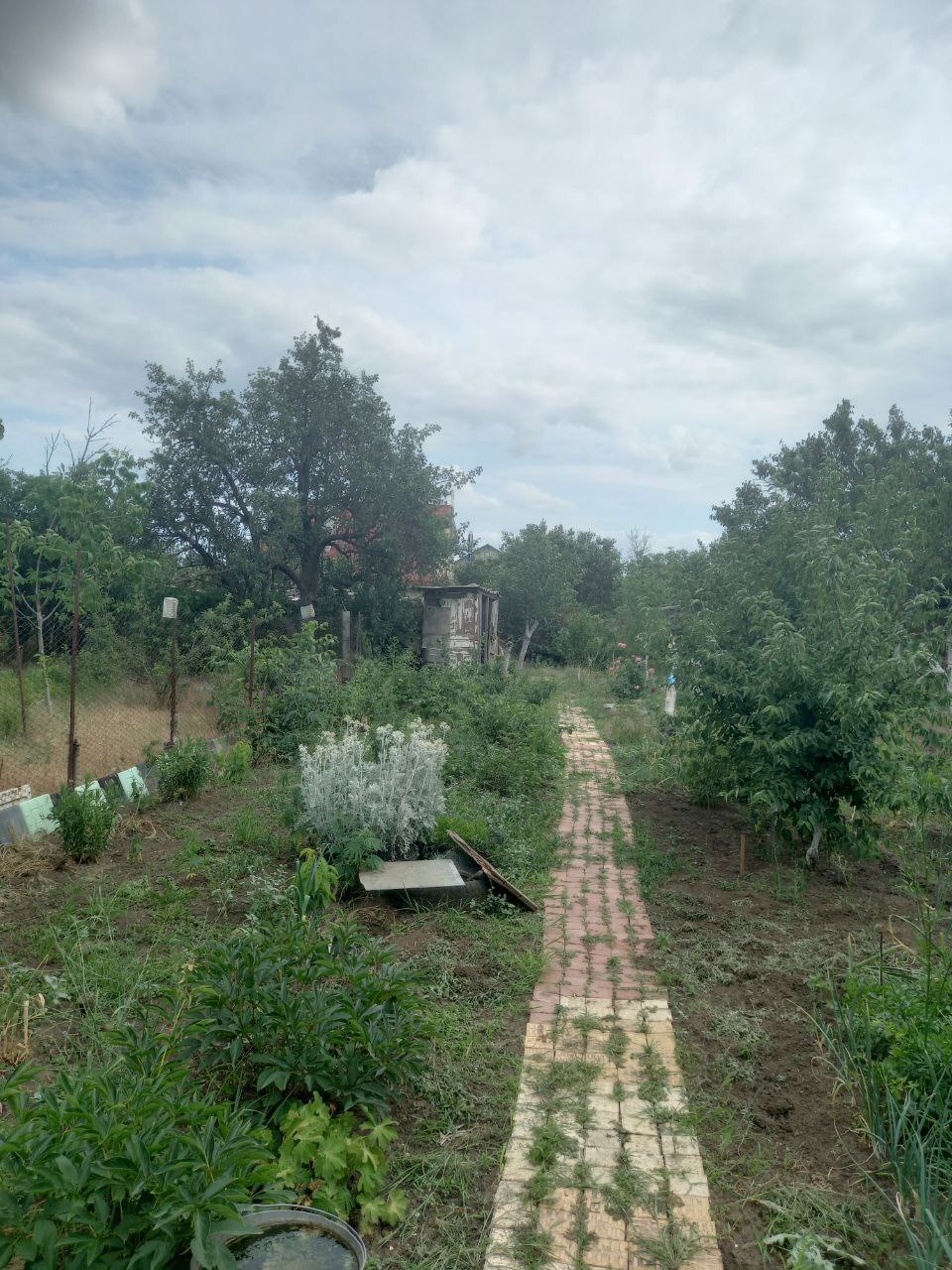 Продаж будинку 50 м²