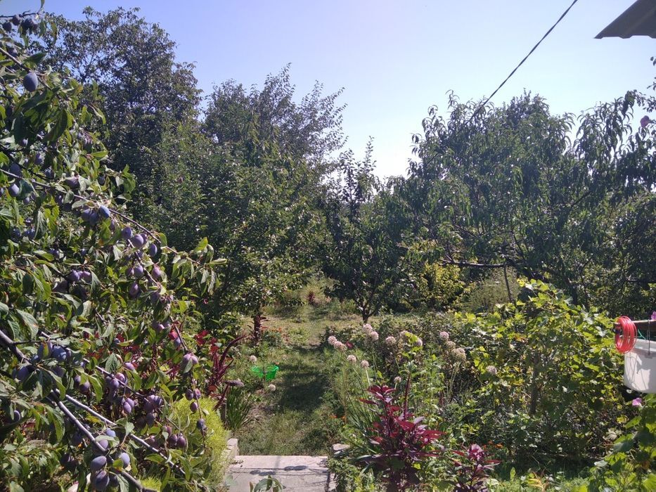 Продажа дачи 20 м², Кадровая ул.