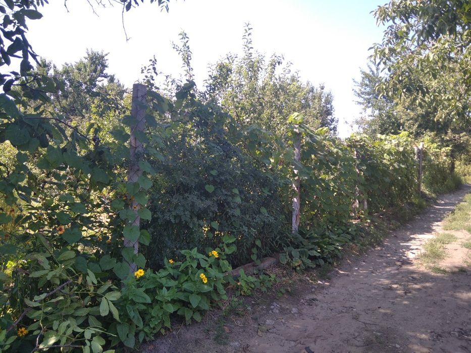 Продажа дачи 20 м², Кадровая ул.