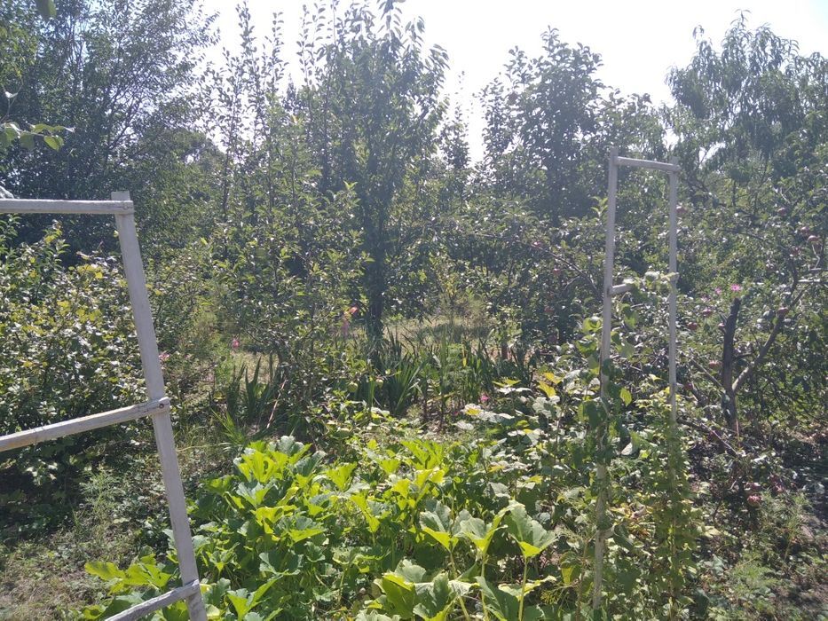 Продажа дачи 20 м², Кадровая ул.