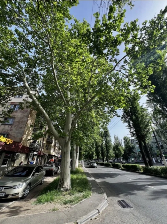 Аренда магазина 88 м², Люстдорфская дор.