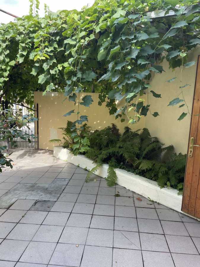 Аренда дома 50 м², 1-й Чехова пер., 14