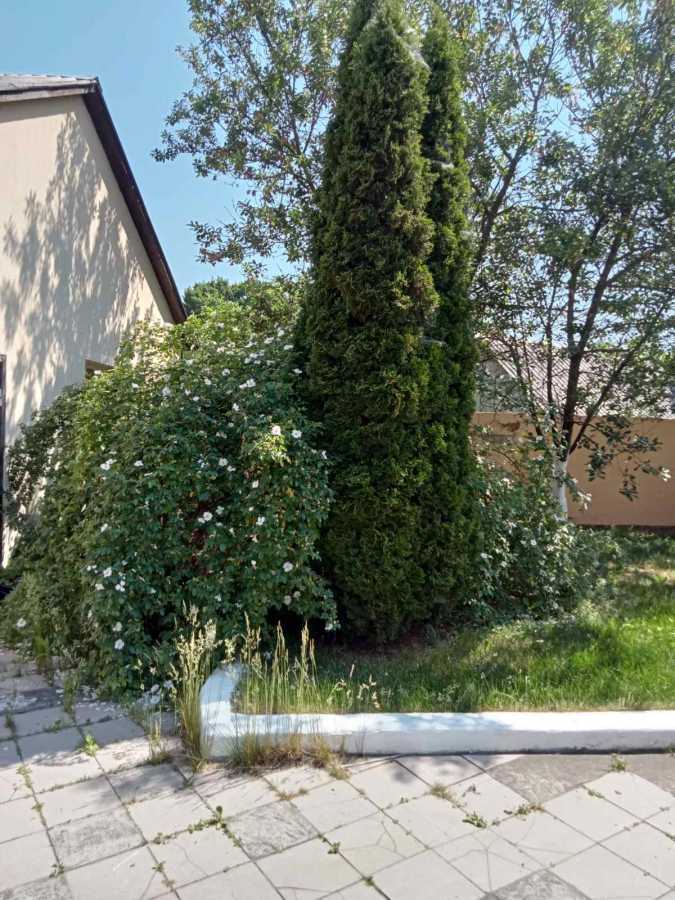 Аренда дома 35 м², Франка