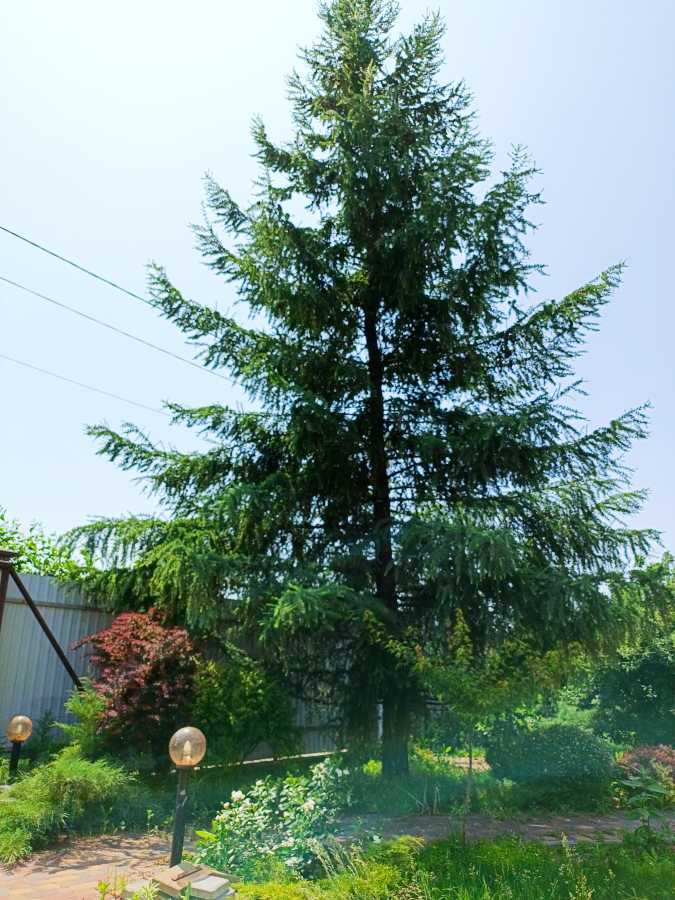 Продажа дома 130 м², Левадная