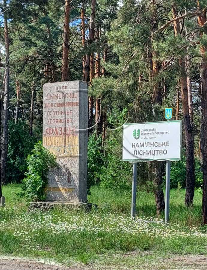 Продаж ділянки під індивідуальне житлове будівництво 9 соток, Золотий берег